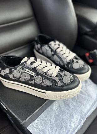 Кеди coach