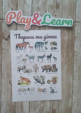 Плакати домана тварини та дітки