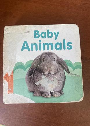 Обучающая книга