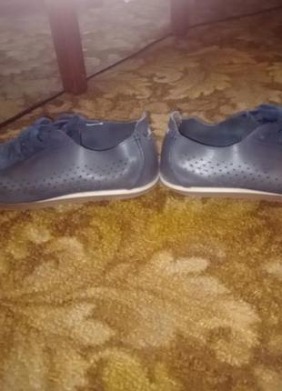 Чоботи clarks