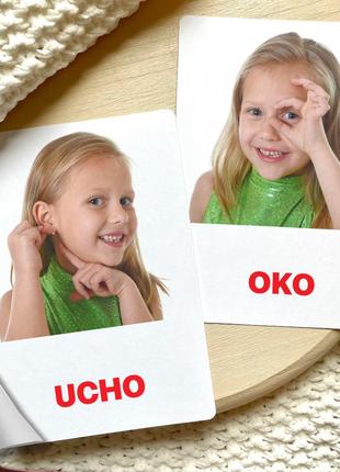 Дитячі навчальні картки домана ‘‘частини тіла’’ польською мовою, у наборі 16 карток