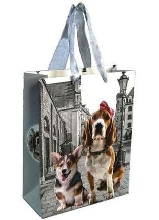 Пакет подарочный (24х18см)