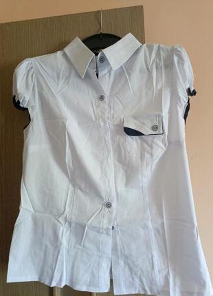 Жіночі блузки