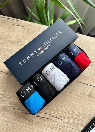 Боксери tommy