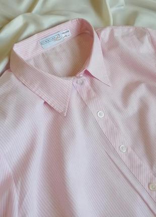 Актуальна сорочка у смужку creation