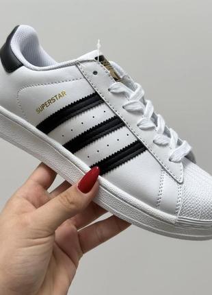 Adidas superstar 36