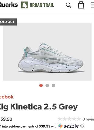 Кросівки reebok zig kinetica 2.5