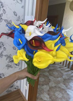Латексні кали і тюльпани