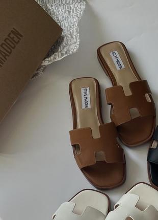 Коричневі steve madden hadyn