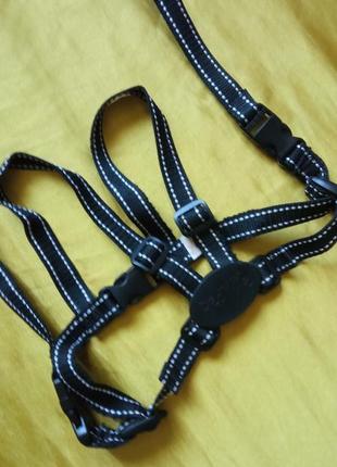 Шлея для дом. улюбленця