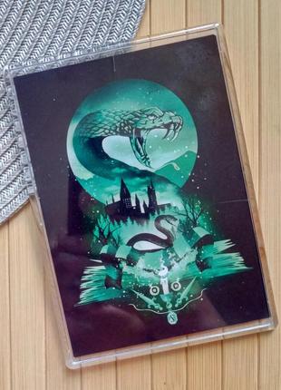 Магнит слизерин harry potter большой (13,5*9,5 см)