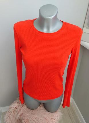 Кофточка в рубчик zara