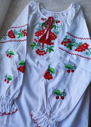 Вишиванка калина з довгим рукавом для дівчинки
