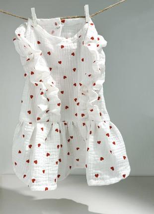 Сукня для собаки