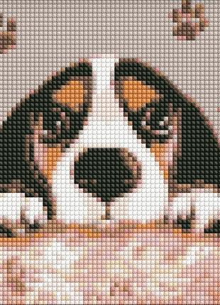 Алмазная мозаика без подрамника "волшебная собачка" amc7951 20х20см от polinatoys