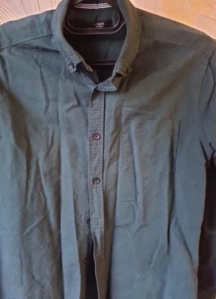 Мужская рубашка colins