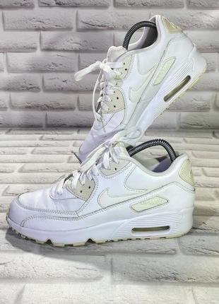 Кросівки nike air zoom skates white pink dress pants women