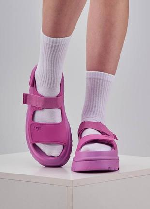 Женские сандалии ugg fuchsia