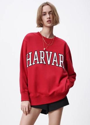 Harvard 490 168334563