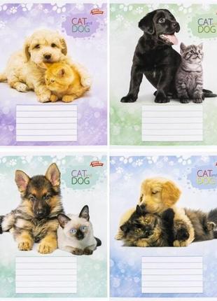 Тетрадь школьная мрії збуваються 12л в клетку арт. 3485