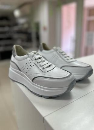 Жіночі шкіряні кросівки / жіночі кросівки з натуральної шкіри та замші / білі шкіряні кросівки