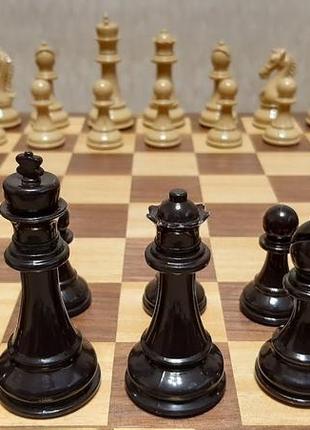 Научу грати в шахи1 фото