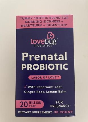 Lovebug probiotics пробиотики для беременных 30 капсул