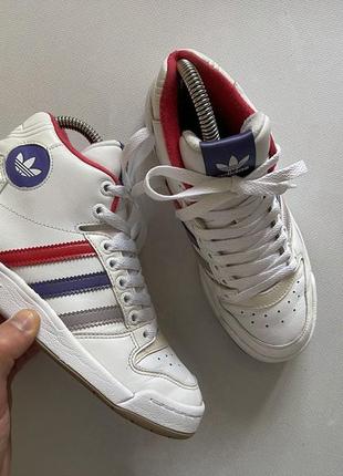 Adidas continental high top hotsell