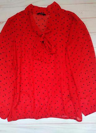 Прозора блуза в горошок * на резинці