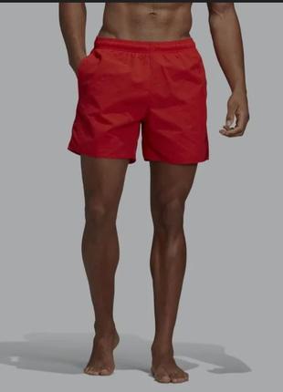 Мужские шорты для пляжа м