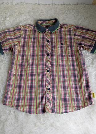 Рубашка с коротким рукавом