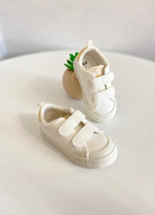 Кеди