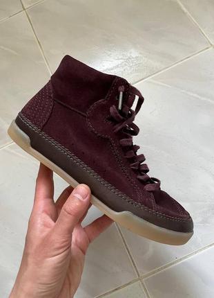 Кеди кросівки clarks оригінал
