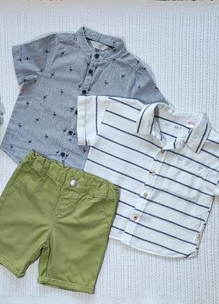 Рубашки и шорты