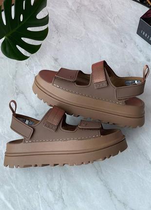 Топ! сандалии ugg goldenglow sandals brown, босоножки угг
