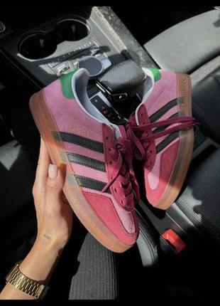 Ad gazelle gucci pink/green