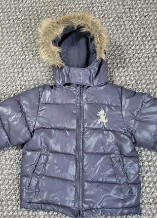 Куртка на осінь