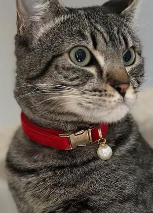 Червоний нашийник для котика