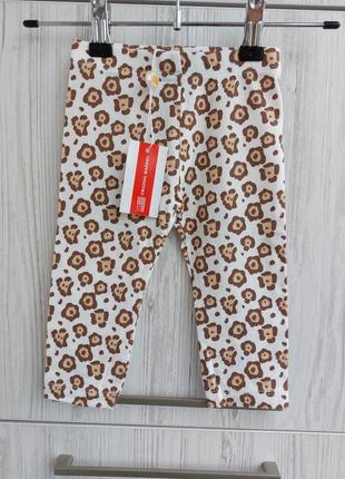 Брендовые лосины италия