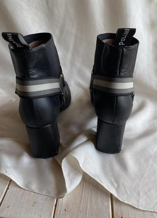 Челсі pollini7 фото