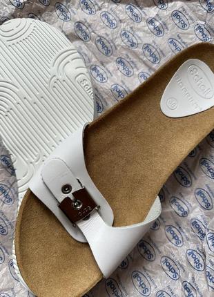 Шльопанці scholl