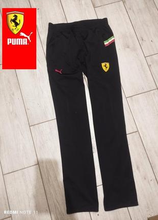 Puma ferrari, чоловічи спортивні штани