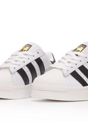 Adidas superstar xlg4 фото