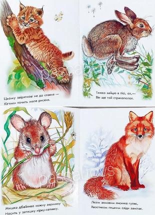 Книжка "малятам про звіряток: лісові звірята"3 фото