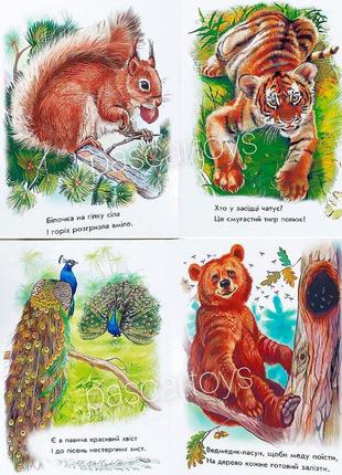 Книжка "малятам про звіряток: лісові звірята"5 фото