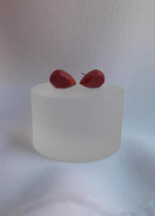 Сережки гвоздики