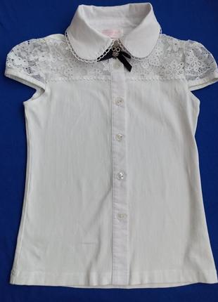 Блузка сорочка collabear