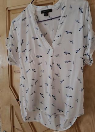 Нежная летняя блуза