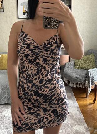 Сукня🐆