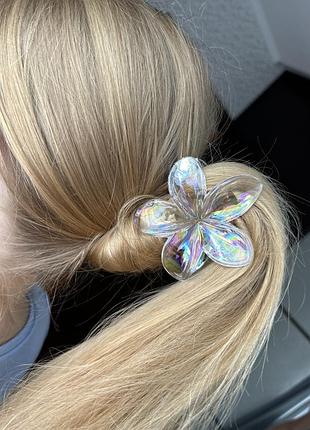 Кіготь для волосся 2